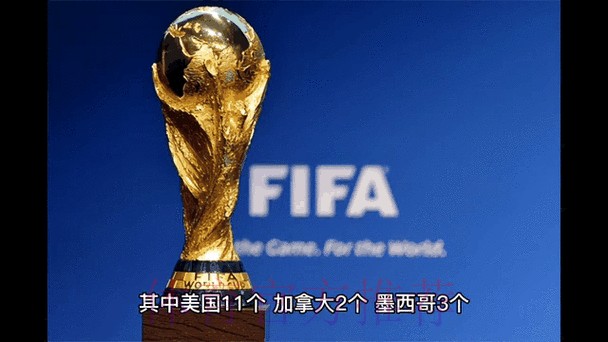 全面解析世界杯外围排行全站动态 全面解析世界杯外围排行全站动态
